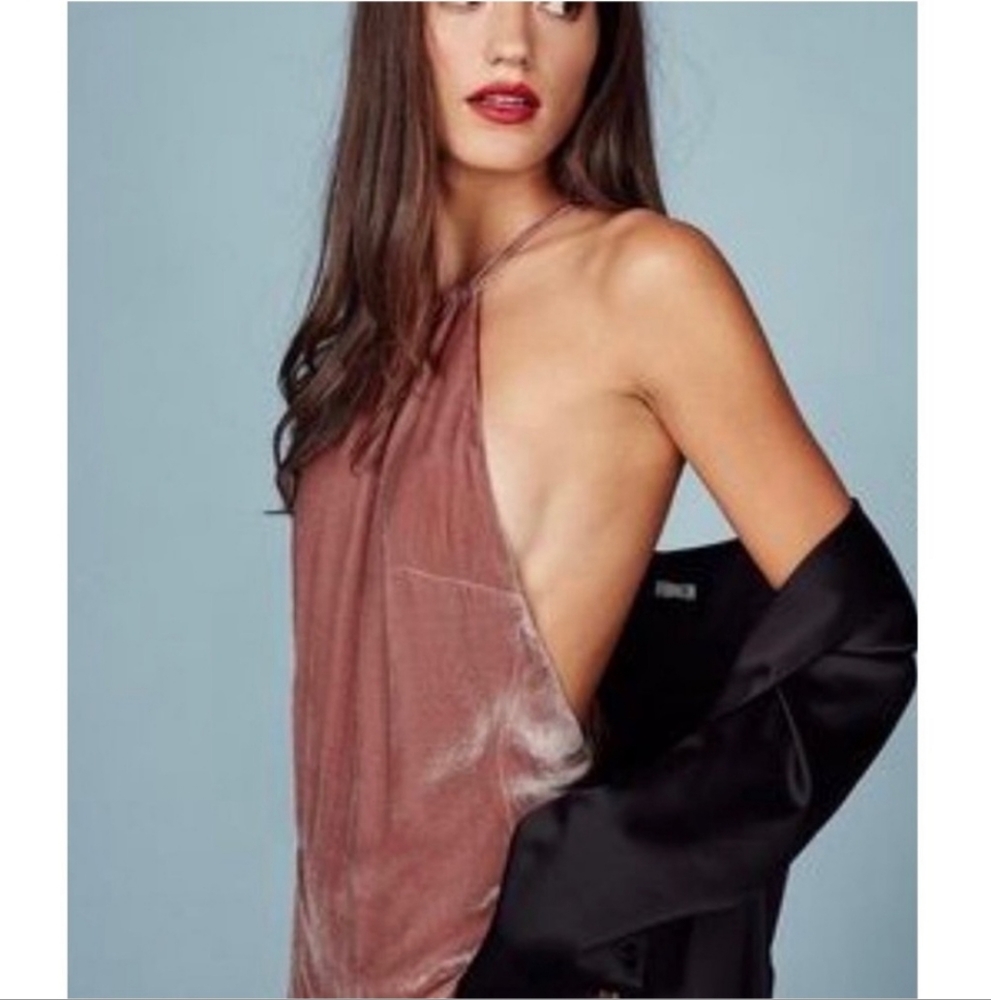 Reformation Dusty Rose Halter Velvet Maxi Dress - Picture 7 of 14